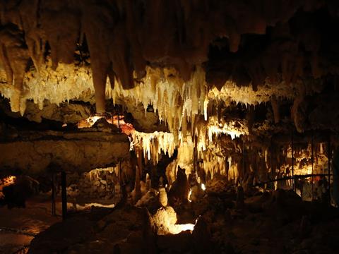lascaux 4 close from la pelonie campsite - Camping Dordogne
