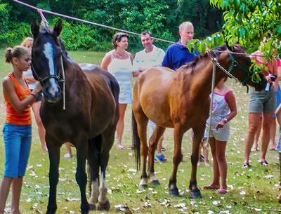 Horse riding pony - Camping La Pélonie Dordogne
