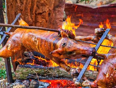 animation campsite la pelonie dordogne perigord 4 stars,